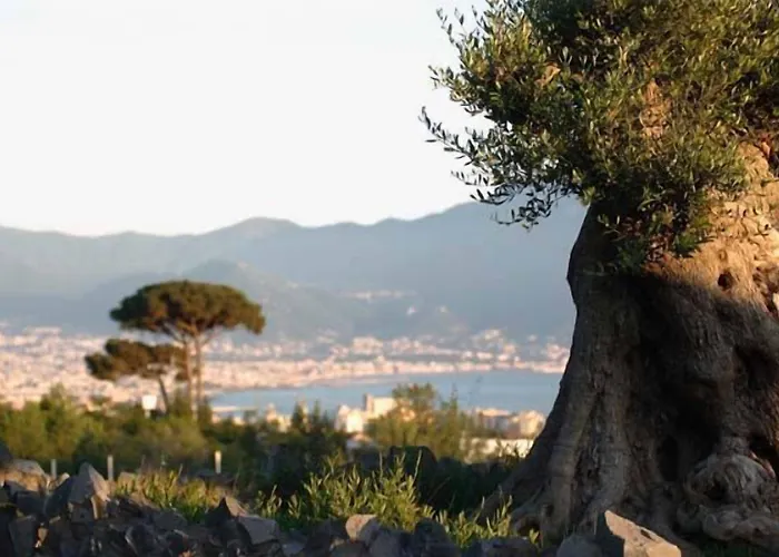 Palazzo Rosenthal Vesuview & 4* Trecase