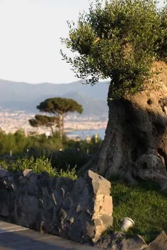 Palazzo Rosenthal Vesuview & Trecase